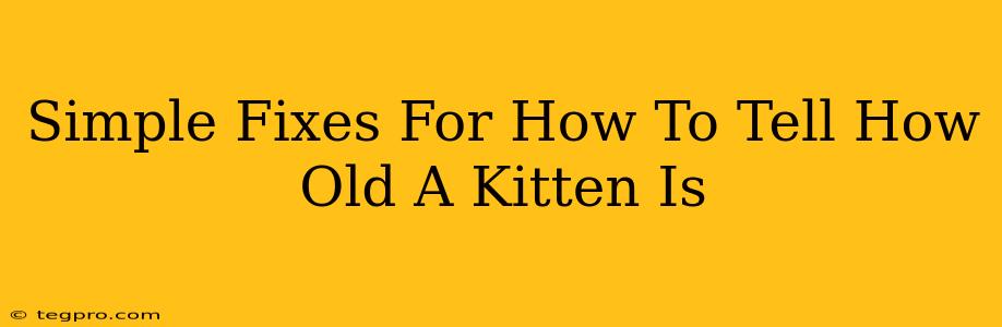 Simple Fixes For How To Tell How Old A Kitten Is