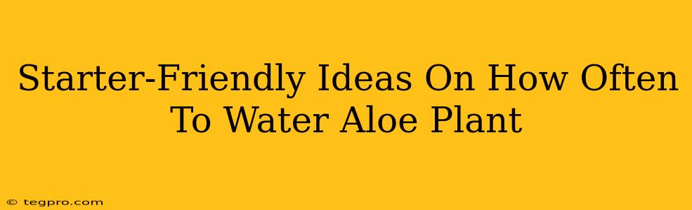 Starter-Friendly Ideas On How Often To Water Aloe Plant