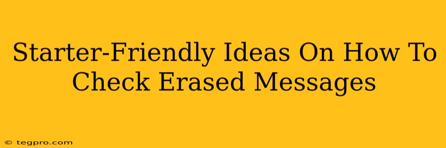 Starter-Friendly Ideas On How To Check Erased Messages