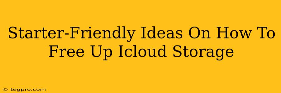 Starter-Friendly Ideas On How To Free Up Icloud Storage