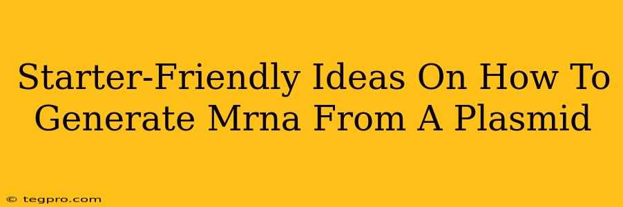 Starter-Friendly Ideas On How To Generate Mrna From A Plasmid