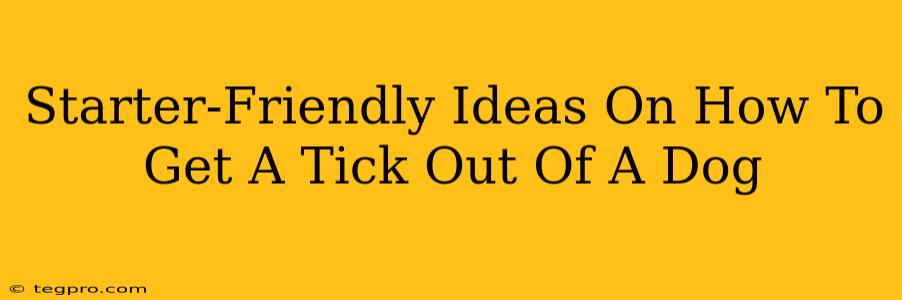 Starter-Friendly Ideas On How To Get A Tick Out Of A Dog