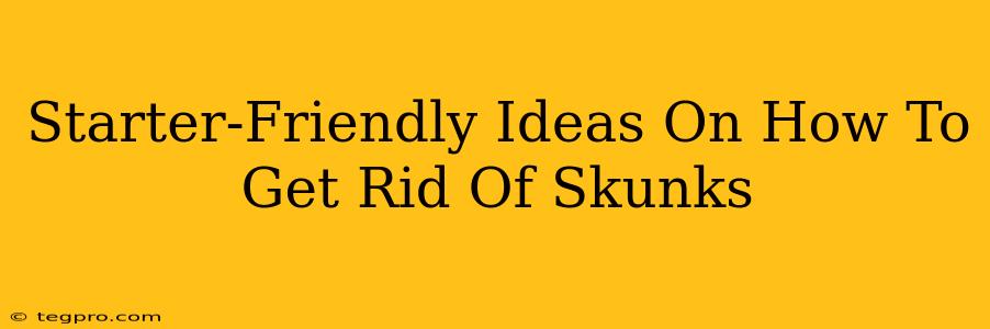 Starter-Friendly Ideas On How To Get Rid Of Skunks