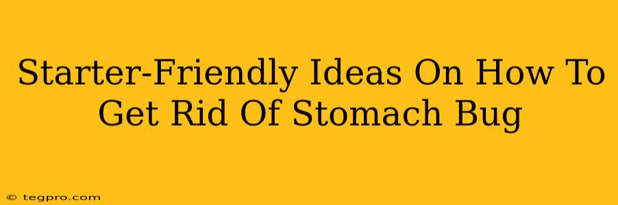 Starter-Friendly Ideas On How To Get Rid Of Stomach Bug