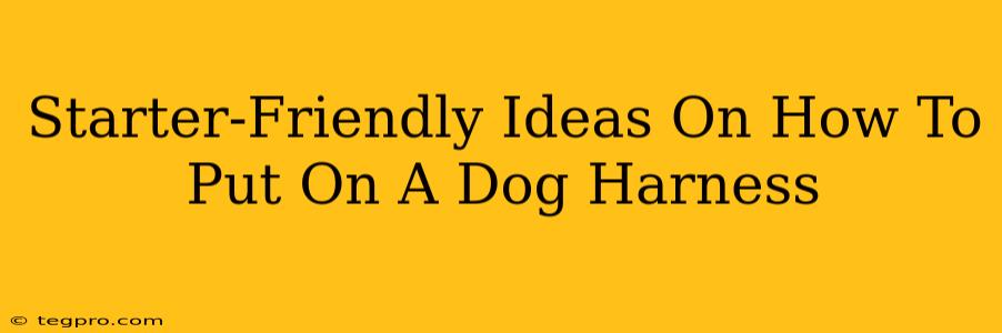 Starter-Friendly Ideas On How To Put On A Dog Harness