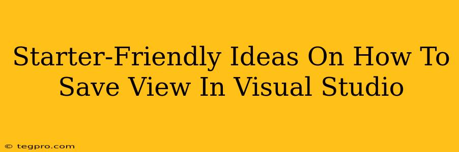 Starter-Friendly Ideas On How To Save View In Visual Studio