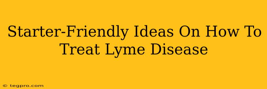 Starter-Friendly Ideas On How To Treat Lyme Disease