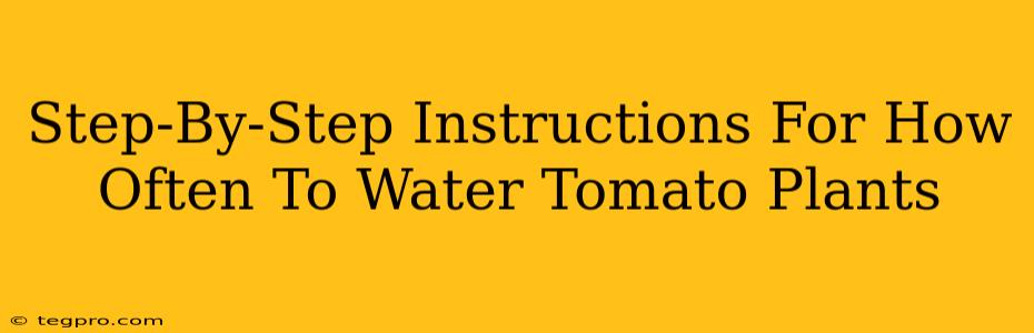 Step-By-Step Instructions For How Often To Water Tomato Plants