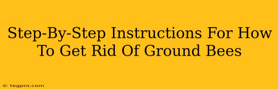 Step-By-Step Instructions For How To Get Rid Of Ground Bees