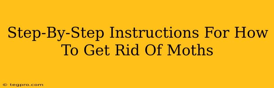 Step-By-Step Instructions For How To Get Rid Of Moths