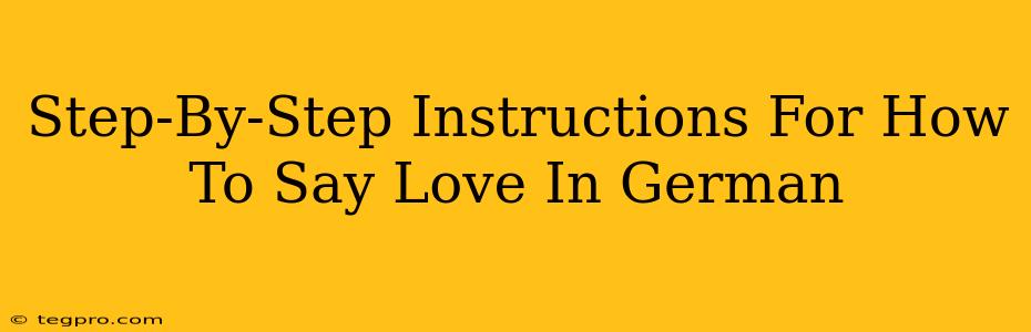 Step-By-Step Instructions For How To Say Love In German