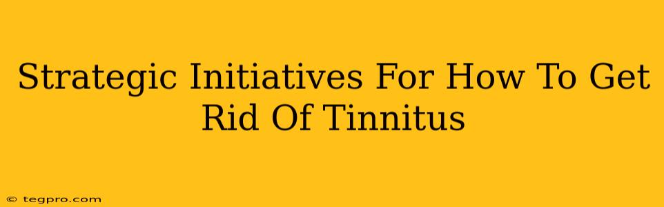 Strategic Initiatives For How To Get Rid Of Tinnitus