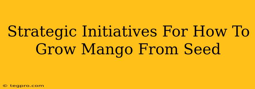 Strategic Initiatives For How To Grow Mango From Seed