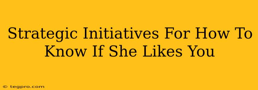 Strategic Initiatives For How To Know If She Likes You