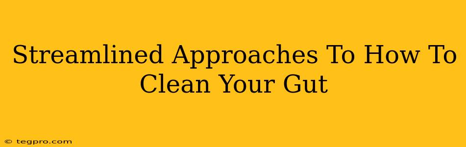 Streamlined Approaches To How To Clean Your Gut