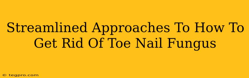 Streamlined Approaches To How To Get Rid Of Toe Nail Fungus