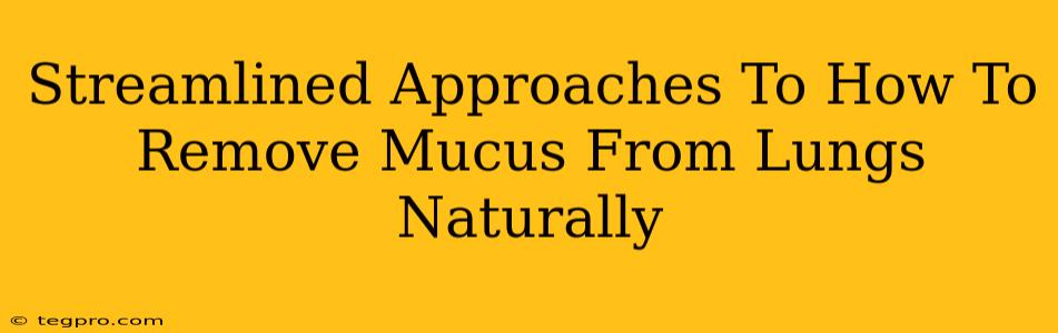 Streamlined Approaches To How To Remove Mucus From Lungs Naturally
