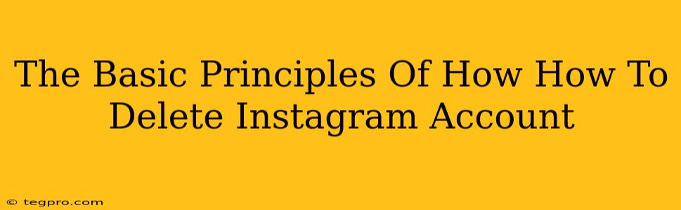 The Basic Principles Of How How To Delete Instagram Account