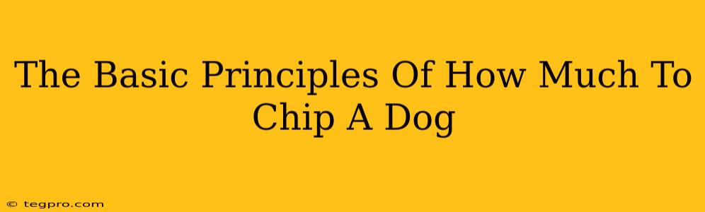 The Basic Principles Of How Much To Chip A Dog