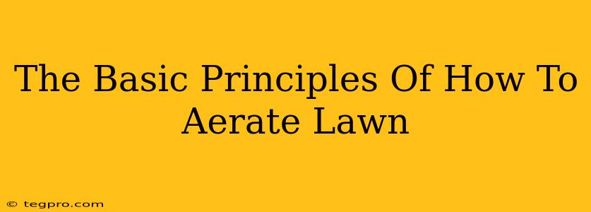 The Basic Principles Of How To Aerate Lawn