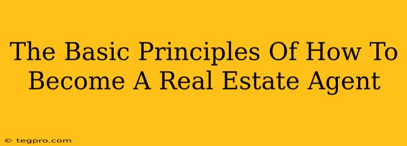 The Basic Principles Of How To Become A Real Estate Agent