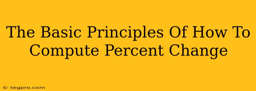 The Basic Principles Of How To Compute Percent Change