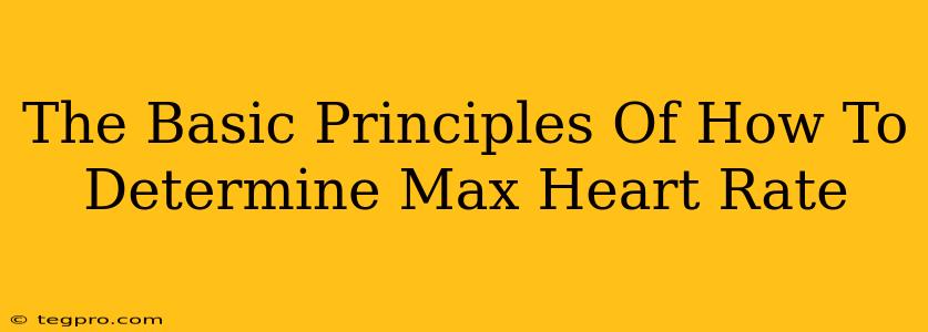 The Basic Principles Of How To Determine Max Heart Rate