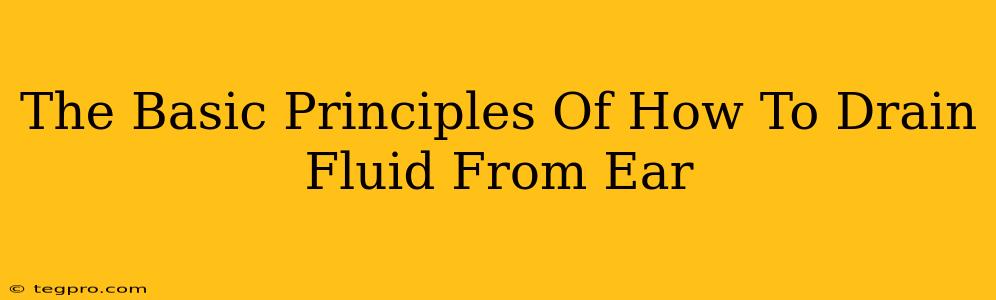 The Basic Principles Of How To Drain Fluid From Ear