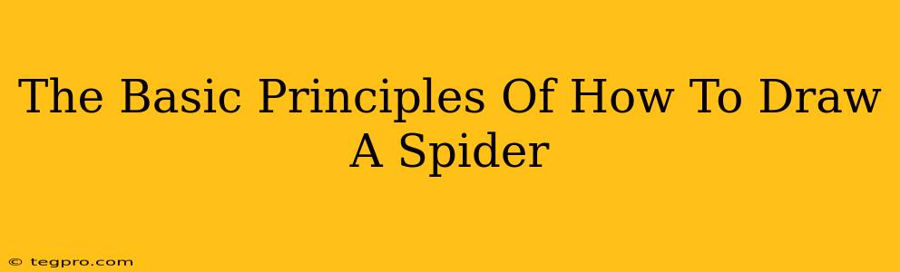 The Basic Principles Of How To Draw A Spider