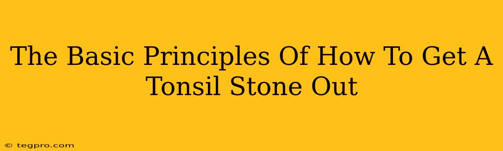 The Basic Principles Of How To Get A Tonsil Stone Out