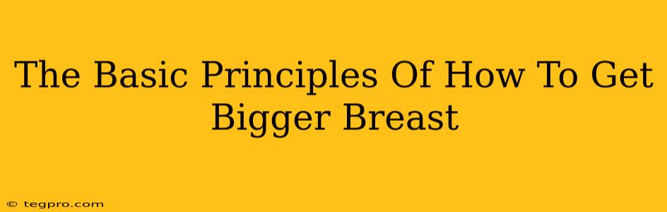 The Basic Principles Of How To Get Bigger Breast