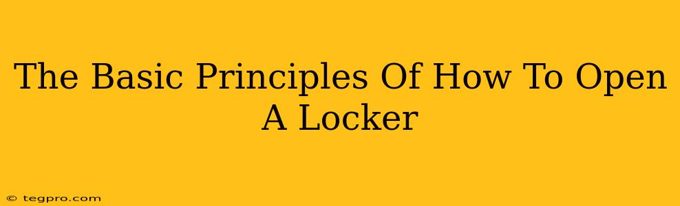 The Basic Principles Of How To Open A Locker