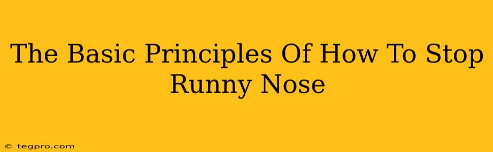 The Basic Principles Of How To Stop Runny Nose