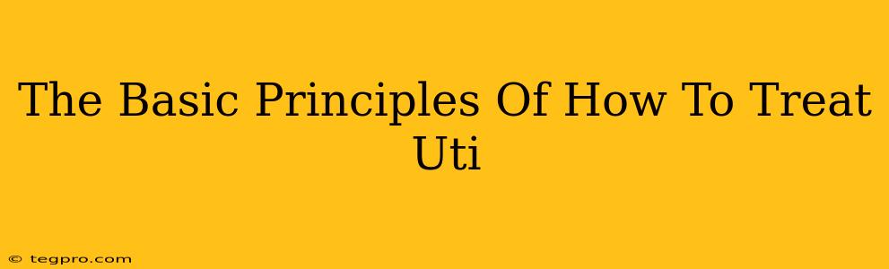 The Basic Principles Of How To Treat Uti