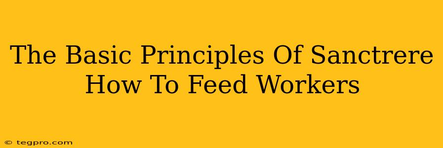 The Basic Principles Of Sanctrere How To Feed Workers