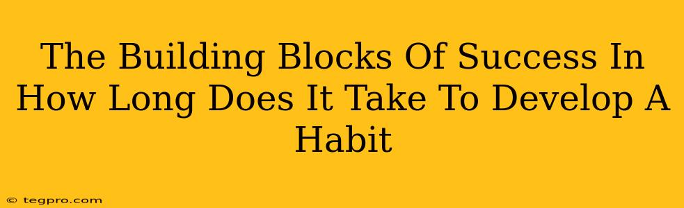 The Building Blocks Of Success In How Long Does It Take To Develop A Habit