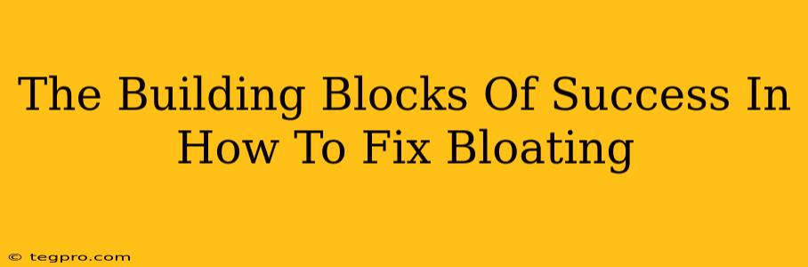 The Building Blocks Of Success In How To Fix Bloating