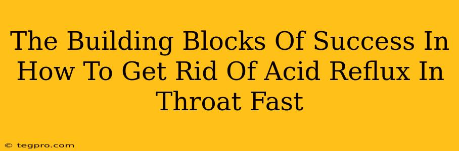 The Building Blocks Of Success In How To Get Rid Of Acid Reflux In Throat Fast