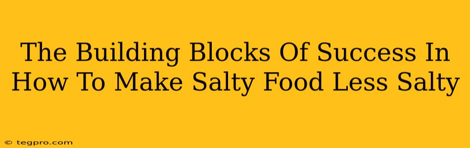 The Building Blocks Of Success In How To Make Salty Food Less Salty