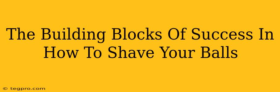 The Building Blocks Of Success In How To Shave Your Balls