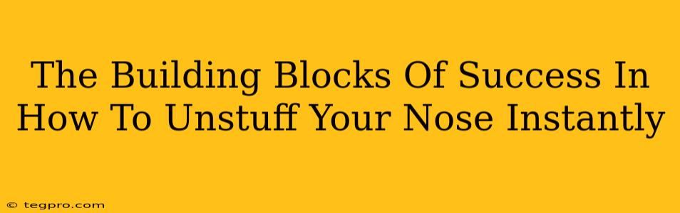 The Building Blocks Of Success In How To Unstuff Your Nose Instantly