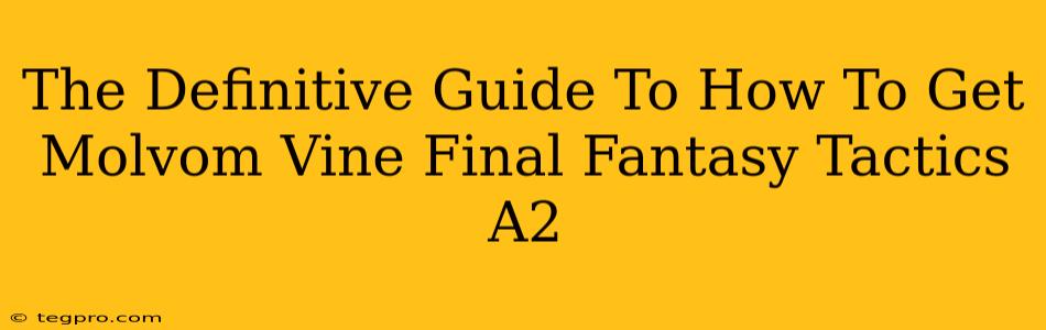 The Definitive Guide To How To Get Molvom Vine Final Fantasy Tactics A2