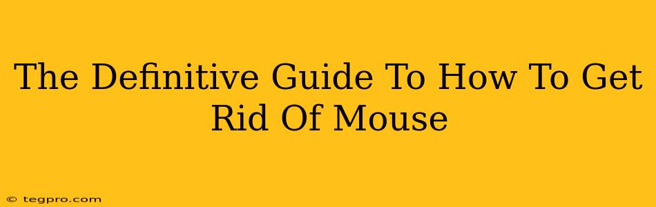 The Definitive Guide To How To Get Rid Of Mouse