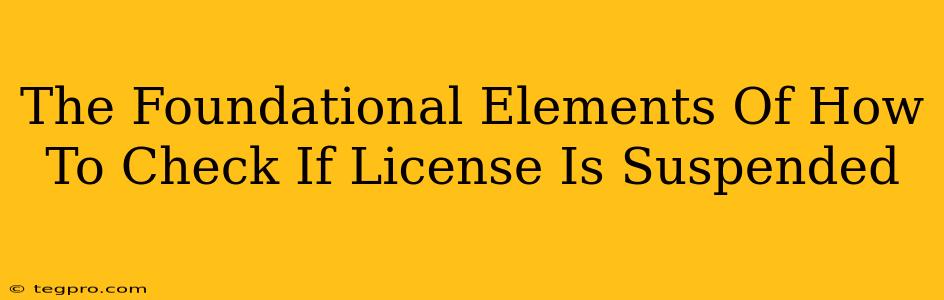 The Foundational Elements Of How To Check If License Is Suspended