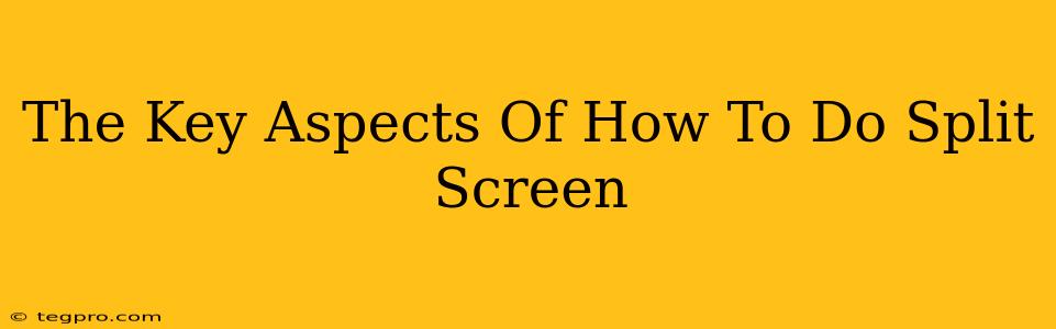 The Key Aspects Of How To Do Split Screen