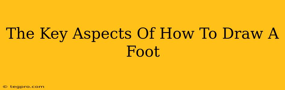 The Key Aspects Of How To Draw A Foot