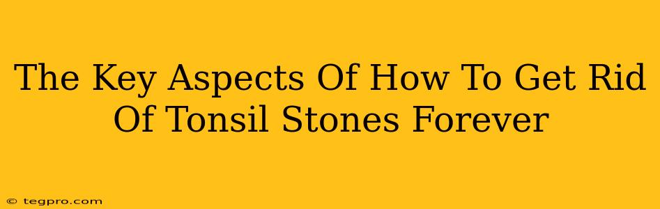 The Key Aspects Of How To Get Rid Of Tonsil Stones Forever
