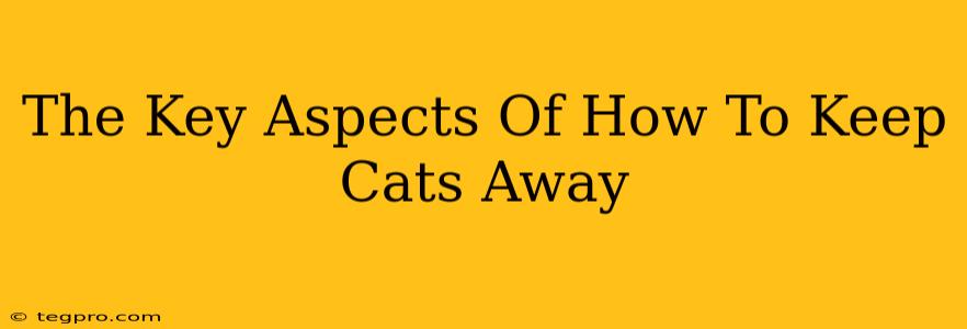 The Key Aspects Of How To Keep Cats Away