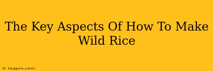 The Key Aspects Of How To Make Wild Rice