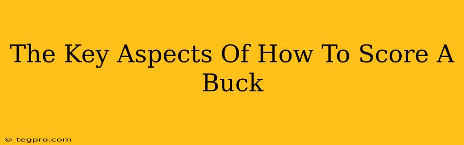 The Key Aspects Of How To Score A Buck